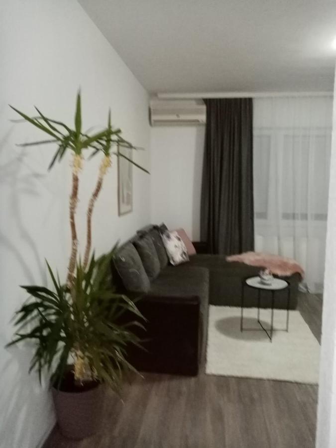 Apartman Aleksic Jagodina Eksteriør billede