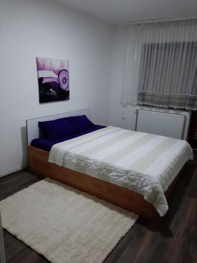 Apartman Aleksic Jagodina Eksteriør billede