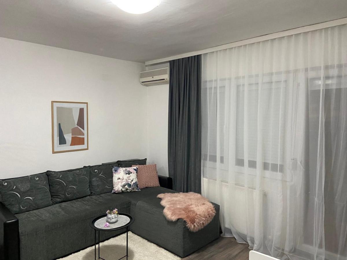 Apartman Aleksic Jagodina Eksteriør billede